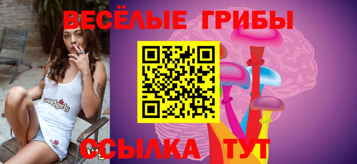 Псилоцибиновые грибы Magic Shrooms  закладка  Удомля  Вход с VPN 